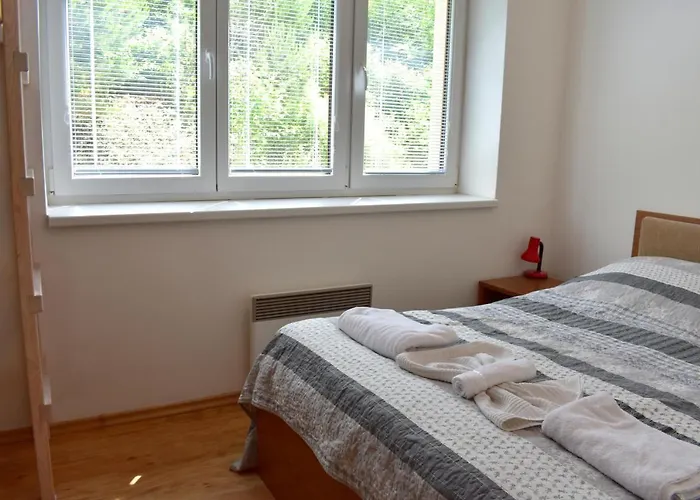 Family Lipno Lake, Airstay Lipno דירה ליפנו נאד וויטאבו