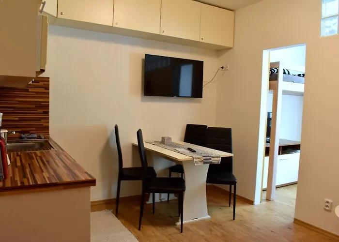 דירה Family Lipno Lake, Airstay Lipno ליפנו נאד וויטאבו